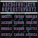 Jersey Soccer Sports Uniform Black Custom Teal-Pink Sublimation Lightning